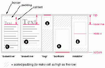 Example of vertically aligning the cells